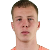 Mitrovic Vuk