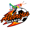 Alebrijes de Oaxaca 2