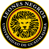 Leones Negros 2