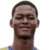 Cuero Palacio