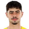 Matei Goga