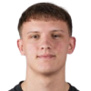 Dovydas Druktenis
