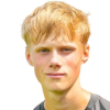 Paulsen