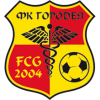 Gorodeja