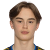 Geiger
