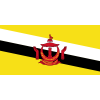 Brunei U17