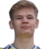 Visser
