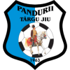 Pandurii