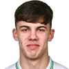 Kovalevskis