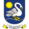 participant