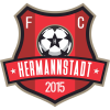 FC Hermannstadt 2
