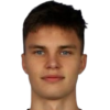 Niedzwiedz