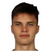 Niedzwiedz