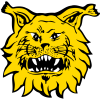 Ilves Tampere