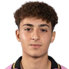 Vaccaro