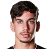 David Araujo