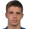 Lukic D. (SIR)
