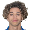 Reiziger
