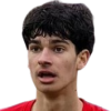 Didulica