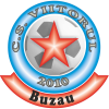 Viitorul Buzau *
