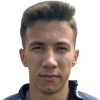 Dalibor Mitrovic