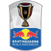 Piala Indonesia