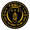 Tesla U20