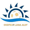 Copa de la Liga AUF