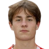 van der Meer Dain