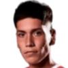Barreiro