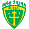MSK Zilina
