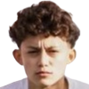 Malinen