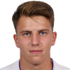 Despotovski