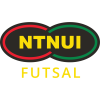 NTNUI