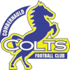 Cumbernauld Colts Nữ *