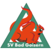 Kieninger Goisern