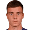 Tripkovic