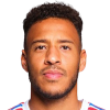 Tolisso C.