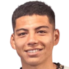Alan Palavecino