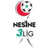 TFF 3. Lig Play Offs