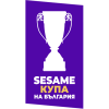 Bulgarian Cup