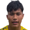 Lincopan Nicolas