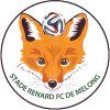 Stade Renard