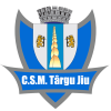 CSM Targu Jiu