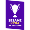 Bulgarian Cup