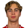 Brandal Nikolas