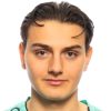 Alem Omerinovic
