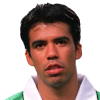 Pardo