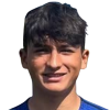 Dalziel Ozuna