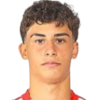 Ferreira